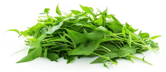 Aufkleber - A detailed image featuring a Water Spinach or Ipomoea Aquatica pile isolated on white with room for text or other elements. Creative banner. Copyspace image
