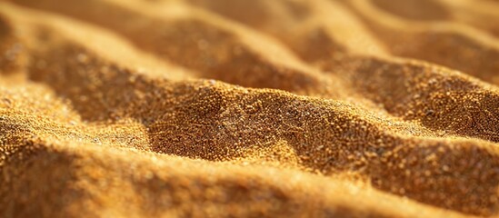 Aufkleber - Detailed macro photo of beach sand for background with copy space image
