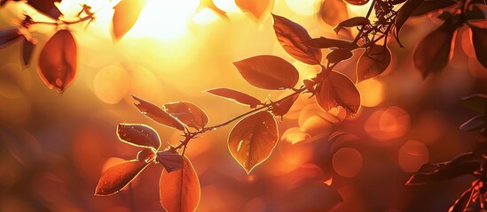 Aufkleber - During sunset golden sunlight illuminates silhouetted leaves and branches setting a serene scenery with rich colors and natural beauty for a copy space image
