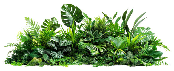 Poster - PNG Lush tropical indoor plant arrangement