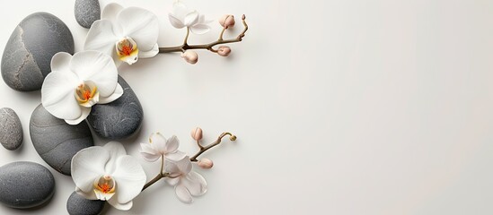 Aufkleber - Spa stones and orchid flowers on white background providing serene ambiance for a copy space image