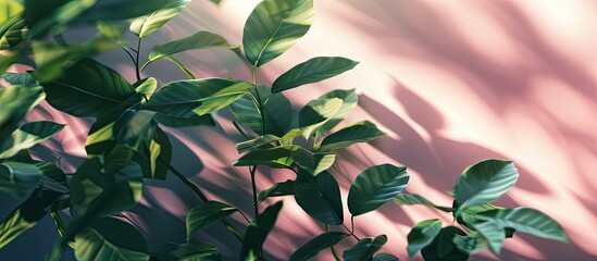 Poster - Summer image featuring leaf shadows creating a background with copy space image