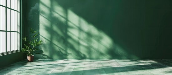 Aufkleber - A studio backdrop with a green color and shadows from a window provides a perfect background for product display and text insertion in a copy space image