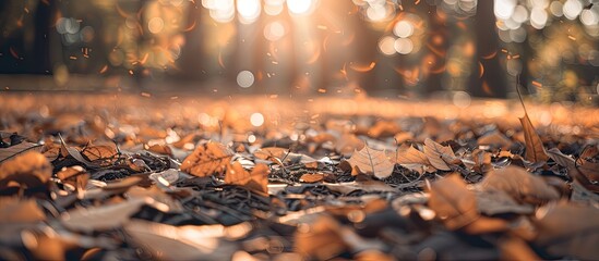 Poster - Blurry outdoor abstract photography with a defocused view of green nature on the ground showcasing brown dry leaves grass and a bokeh effect perfect for a wallpaper background or design with copy spa