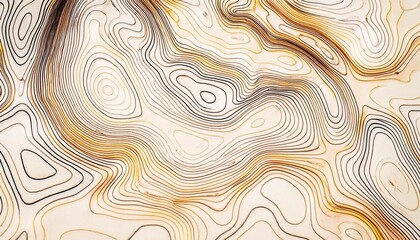 Poster - topographic contour for background generative ai