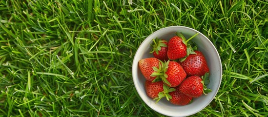 Aufkleber - Top down view of a bowl with a fresh ripe red strawberry placed on lush green grass portraying a summer harvest scene with ample copy space image