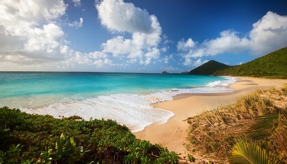 Wall Mural - saint martin beach caribbean sea