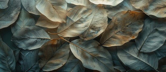 Poster - Soft focus enhances the natural background s gray and beige leaf texture with ample copy space image