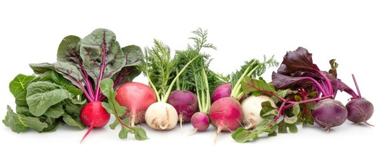 Aufkleber - Winter vegetables group arranged on white background featuring copy space image