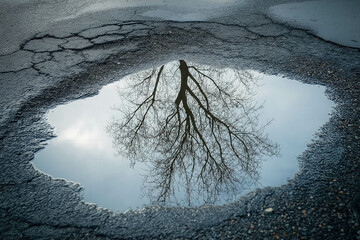 Canvas Print - Water Puddle On White Background