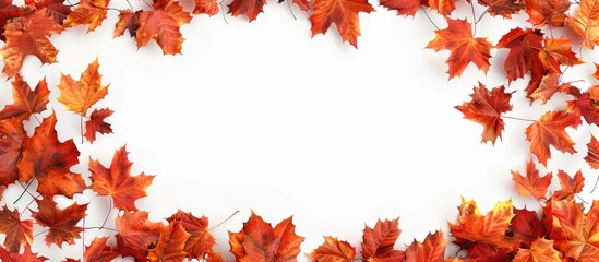 Aufkleber - Autumn leaves form a frame against a white background leaving room for a copy space image