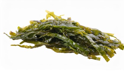 seaweed isolated on transparent background cutout