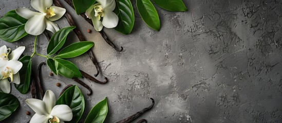 Wall Mural - Top view of vanilla pods leaves and flowers on a textured grey table with a designated area for text in the image. Creative banner. Copyspace image