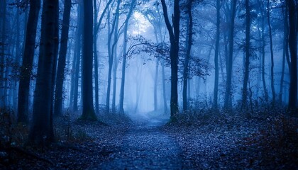 Wall Mural - mysterious blue toned forest pathway footpath in the dark foggy autumnal cold forest among high trees