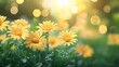 © horizon - Vibrant yellow daisies, soft natural light, blurred bokeh background, green foliage, golden hour glow, shallow depth of field, macro photography, dreamy atmosphere.