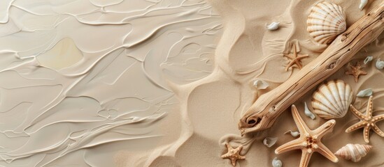 Poster - Nature themed image showing seashell starfish and driftwood on beige background evoking sea summer and ecology Includes copy space