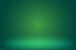 © Oracha - Abstract green gradient studio room background, 3d empty soft smooth blur backdrop like in a room with spot lights shining on the floor or on the stage, vector illustration design for product display