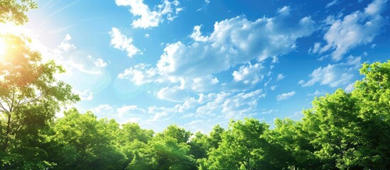 Canvas Print - Nature background with a clear blue sky and unique white clouds above a lush green forest creating a picturesque scene perfect as a natural template with copy space image