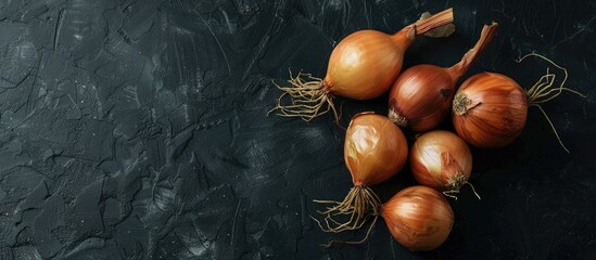 Poster - Homegrown sprouted onions on a dark backdrop with a copy space image on top showcasing this raw eco friendly food product in a pleasing composition