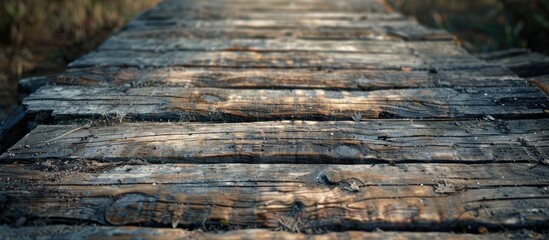 Sticker - An aged wooden pathway extends far displaying a rustic and organic texture with copy space image