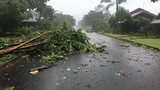 A quiet street turned chaotic, with fallen trees and debris everywhere