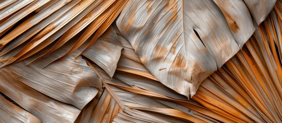 Aufkleber - Dry and aged palm leaves create an ideal backdrop with copy space image