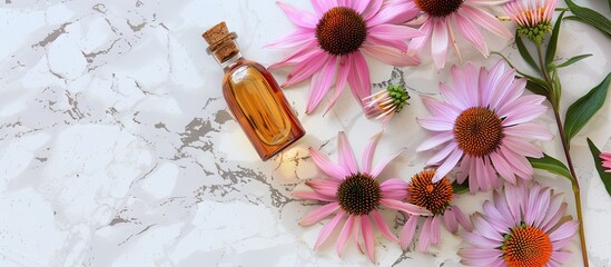 Poster - Copy space image showing Echinacea purpurea extract or oil with flowers on a marble background representing a natural treatment for colds and flu an antiviral remedy and an immune system enhancer