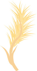 Wall Mural - Single stalk of wheat growing upward, isolated on a white background