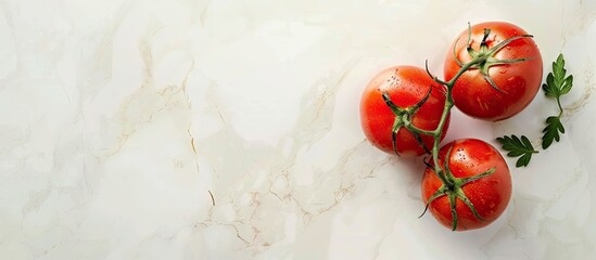 Fototapete - Top view of two tomato branches resting on a light background Flat lay featuring copy space