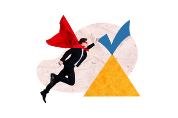 Wall Mural - Composite photo collage of serious businessman run wear superhero cape mask fly check mark mountain career isolated on painted background