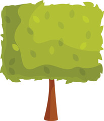 Poster - Square shaped green tree growing with lush foliage, nature and botany element for landscaping design
