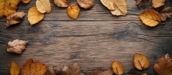 Fototapete - Autumn leaves on a wooden board background with copy space