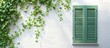 © vxnaghiyev - Ivy climbing on a white wall with green window shutters. with copy space image. Place for adding text or design