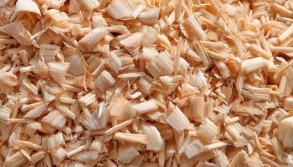 Wall Mural - texture of natural wood chips the surface of a heap of fresh sawdust of a non uniform beige color logging lumber timber and carpentry waste