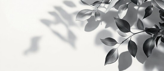Leinwandbilder - Blurry shadows of tree leaves on a light gray background. with copy space image. Place for adding text or design