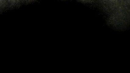 Poster - Randomly generated alpha channel overlay, background, or transition with swirling gray smoke or ink, on a black screen