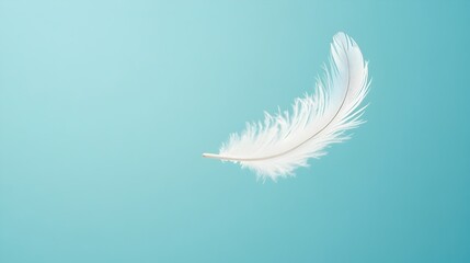 Poster - Delicate feather gracefully floating in the air symbolizing lightness and tranquility with ample copy space for text or design elements