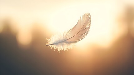 Poster - A single feather floating gently and gracefully in the air symbolizing lightness weightlessness and tranquility  The image provides ample negative space for adding text graphics