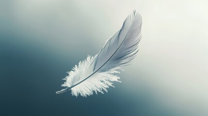 Poster - An ethereal feather floating gracefully in the air symbolizing lightness tranquility and open space for creative and contemplation