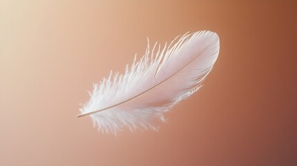 Poster - A single feather gracefully floating in the air conveying a sense of lightness simplicity and tranquility  This minimalist atmospheric image serves as a conceptual backdrop or design element