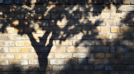 Poster - eternal shadow of a tree projected on a brick wall symbolic representation of permanence and endurin