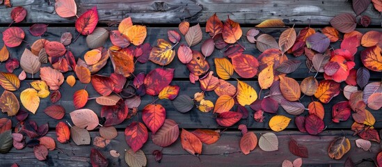Poster - Creative arrangement of vibrant autumn leaves on a weathered wooden surface A gradient of fall leaf colors Top view copyspace