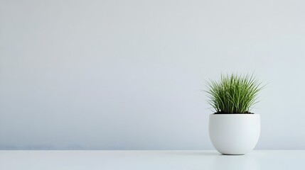 Poster - Minimalist Composition of a Single Potted Plant Placed on a Simple White Table Offering Ample Copy Space for Text or Design Elements