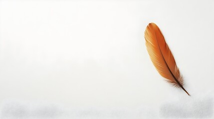 Poster - Visually captivating close up of a single delicate feather resting on a clean pristine white surface with ample copy space for text overlay or design elements