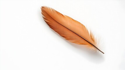 Poster - A single delicate feather lying gracefully on a clean pure white surface creating a serene and elegant minimalist composition with ample copy space for text or design overlay