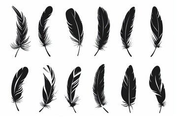 Wall Mural - Feather icon, animal feathers isolated, black plume symbol, minimal plume silhouette on white