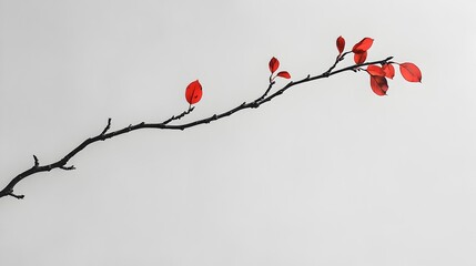 Poster - Serene close up shot of a single tree branch with a few delicate leaves offering a tranquil natural background with plenty of copy space for text or design overlay