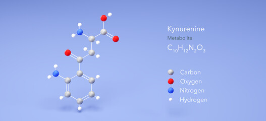 Sticker - kynurenine molecule, molecular structure, l-kynurenine, 3d model, Structural Chemical Formula and Atoms with Color Coding