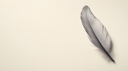 Poster - Minimalist Close up Shot of a Single Delicate Bird Feather Resting on a Blank White Background Providing Ample Copy Space for Text Overlay