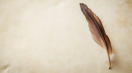 Poster - A delicate solitary bird feather resting on a clean blank background creating a simple minimalist composition with ample copy space for text or design elements